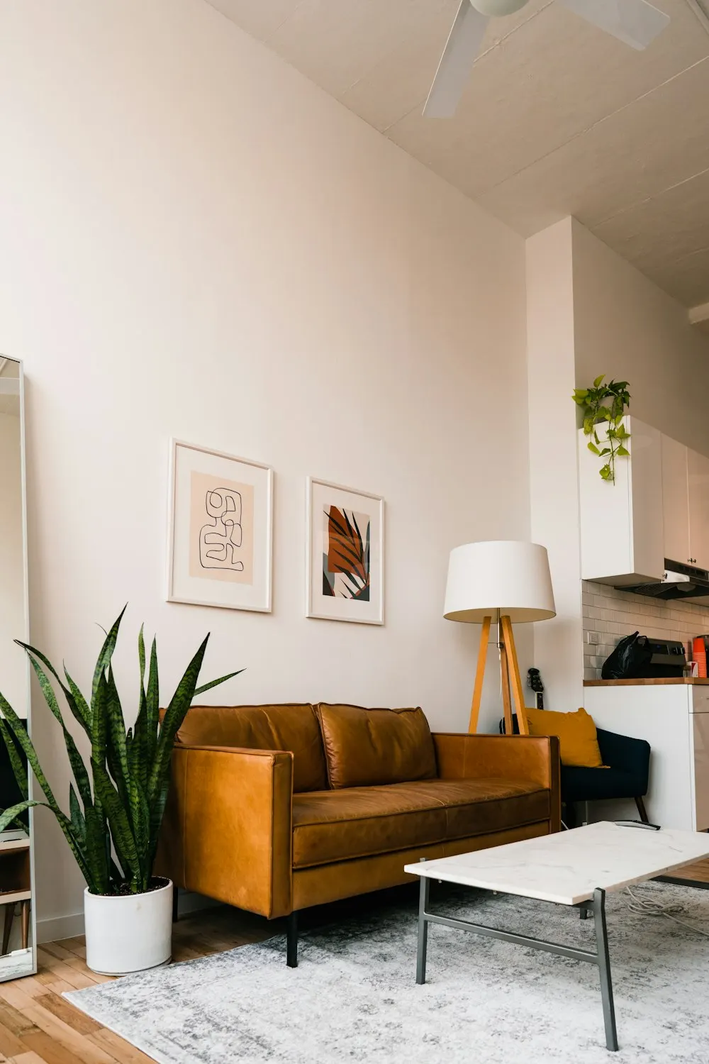 Jasny salon ze skórzaną sofą i rośliną